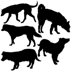 Vector Set of Dogs Silhouettes