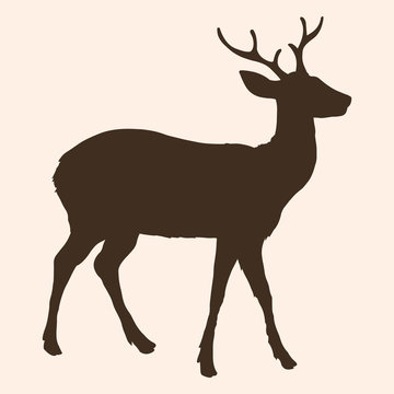 Vector Single Silhouette of Dappled Deer