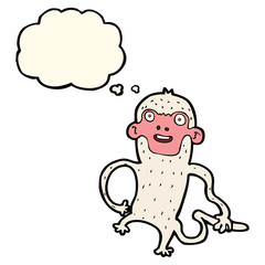cartoon monkey with thought bubble