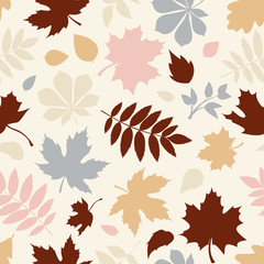 Seamless pattern with various colorful autumn leaves on white.