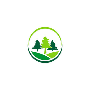 pine green tree hill nature logo