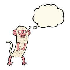 cartoon crazy monkey with thought bubble