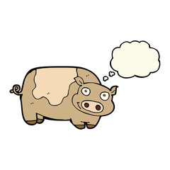 cartoon pig with thought bubble