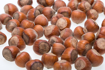 Pile of hazelnuts isolated on white background