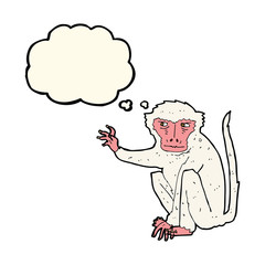 cartoon evil monkey with thought bubble