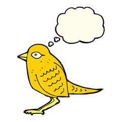 cartoon garden bird with thought bubble