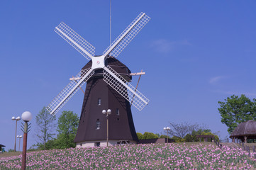 Obraz premium Windmills with vibrant tulips in osaka park.
