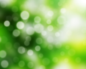 Blur background of natural green bright.