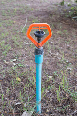 The Sprinkle in the garden