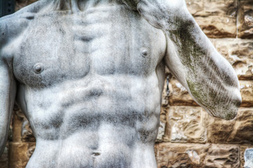 close up of Michelangelo's David statue chest in Piazza della Si