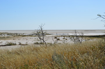 Salzsee im Etosha-Park