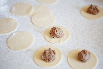 Fototapeta na wymiar Preparation of ravioli, dumplings with liver