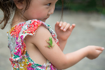 腕に蛙が登ってきた女の子