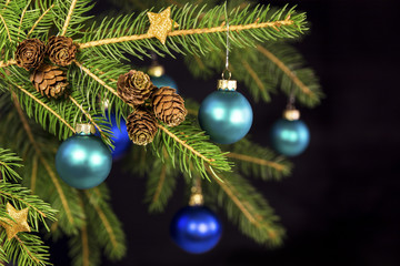 Blaue Weihnachtskugeln an Tannenzweig vor schwarzem Hintergrund