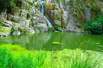 water fall and vegetation