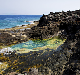 coastline in lanzarote spain pond  rock stone   musk  and summer