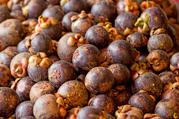  mangosteen in market thailand