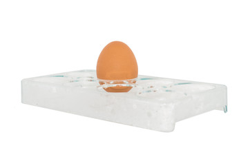 The Egg Tray