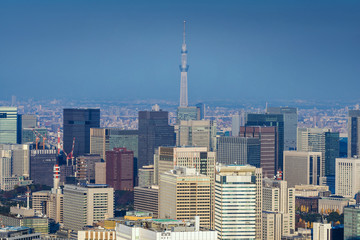 Naklejka premium Skyline of Tokyo Cityscape with Tokyo Skytree, Japan