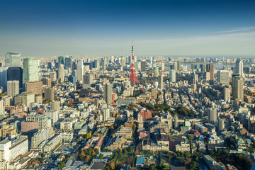 Fototapeta na wymiar Skyline of Tokyo Cityscape with Tokyo Tower, Japan