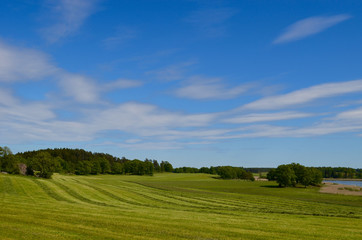 Fototapeta na wymiar Mown meadow in summer in Swedish countryside