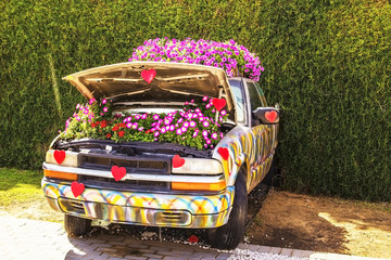 bed of petunias in a car with an open hood in the amazing Miracle Garden in Dubai