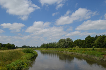 Large river with green shores in flanders