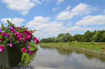 Pink flowers in a pot on a bridge over a river