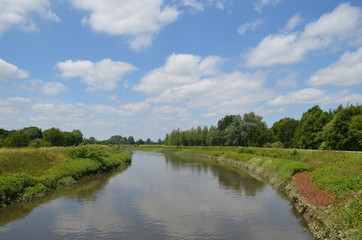 Fototapeta na wymiar Large river with green shores in flanders