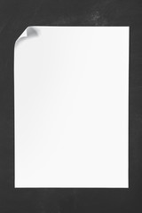 sheet of paper with curl in the corner