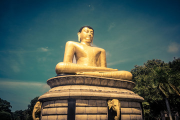 Fototapeta premium Buddha statue over scenic sunset sky in Colombo, Sri Lanka