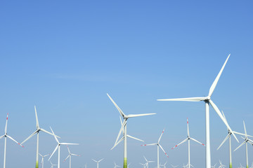 Fototapeta premium Windräder