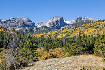 Obraz premium Rocky Mountain N.P. trail in Fall