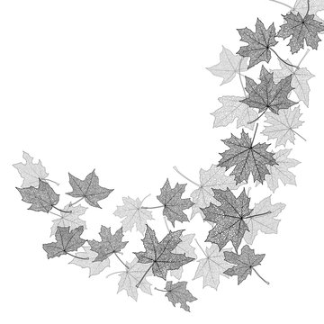 falling grayscale maple leaves on white clip art preview