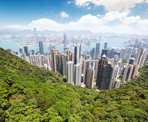 Obraz premium Panoramic view of Hong Kong skyline. China.