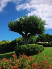 Giardino in Sardegna