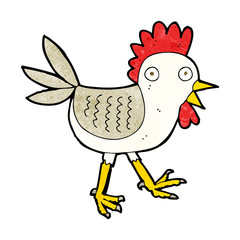 funny cartoon chicken