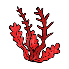 cartoon seaweed