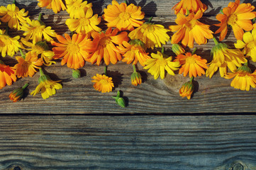 Naklejka na ściany i meble Yellow summer flowers on a wooden surface. Bouquet from a marigold. Calendula flowers. Holidays background in vintage style.