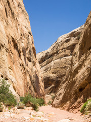 Fototapeta premium Wanderweg im Capitol Reef National Park, Utah, USA