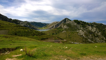 Fototapeta na wymiar Picos de Europa National Park in Asturias, Spain