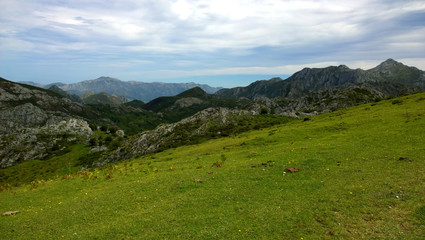 Fototapeta na wymiar Landscape of Picos de Europa National Park in Asturias, Spain