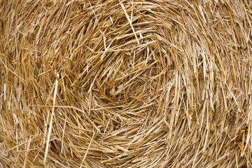 The pattern, texture hay. A stack of hay.