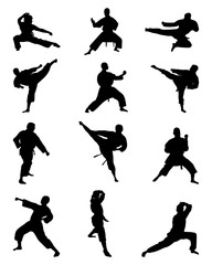 Black silhouettes of karate fighting, vector