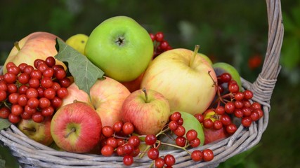 Obstkorb mit Äpfeln und Beeren zum Erntedankfest
