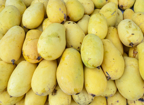 Ripe fresh yellow mangoes fruit