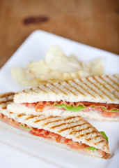 Panini