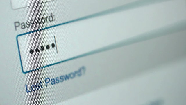 Computer Password Log-on a Website