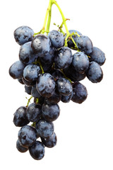 Grapes