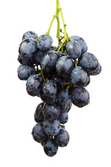 Grapes